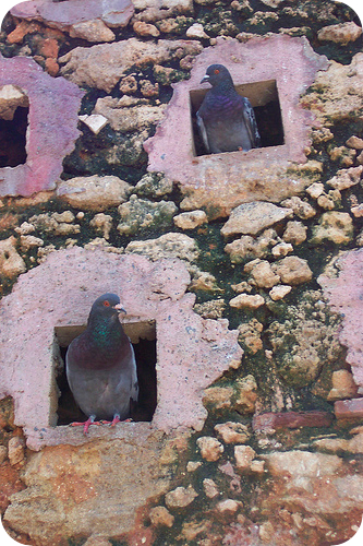 Vaping in the tobacco pigeon-hole