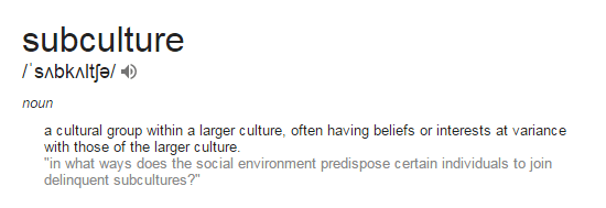 Subculture Definition