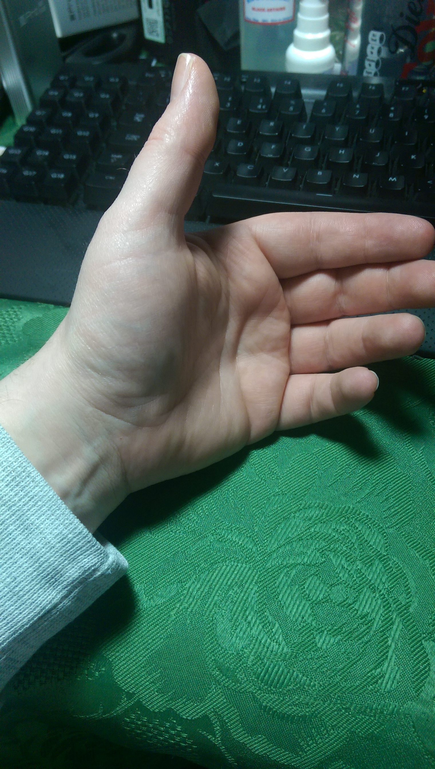 Future handcheck