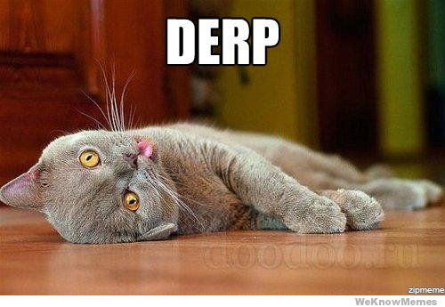 Derp cat meme